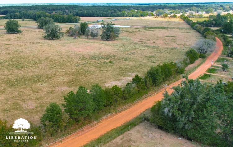 Crockett Tract 1 | 10+ Acres | Only $10K Down