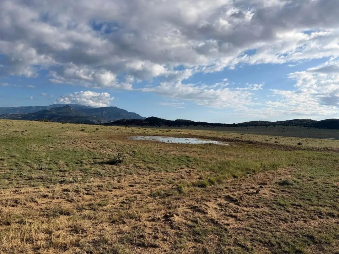 Lot 190 Black Hills, Gardner, CO 81040