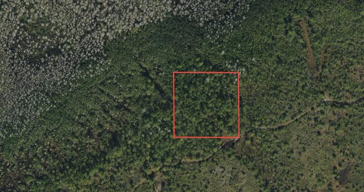 2.51-Acre Recreational Retreat in Suburban Estates, Osceola County, FL