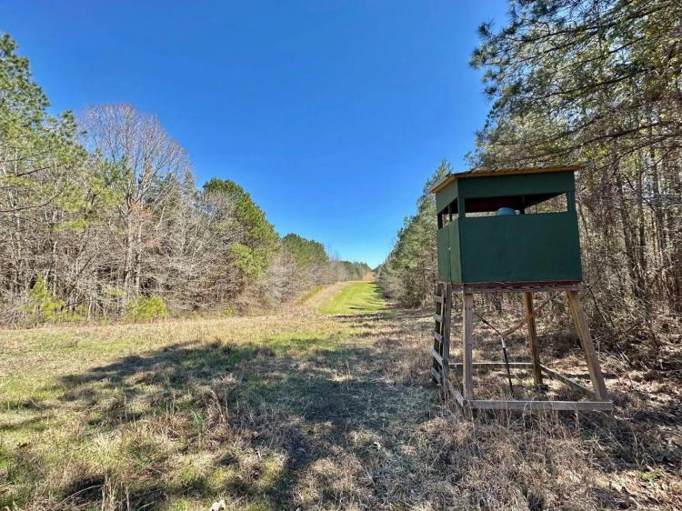123.00 Acres at 1 County Road 5112