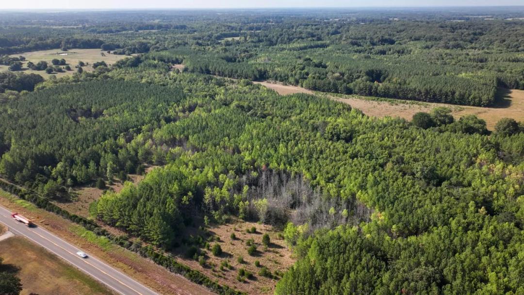 Chickasaw County - 140- Acres -Pines on the Prairie- Turkey Heaven
