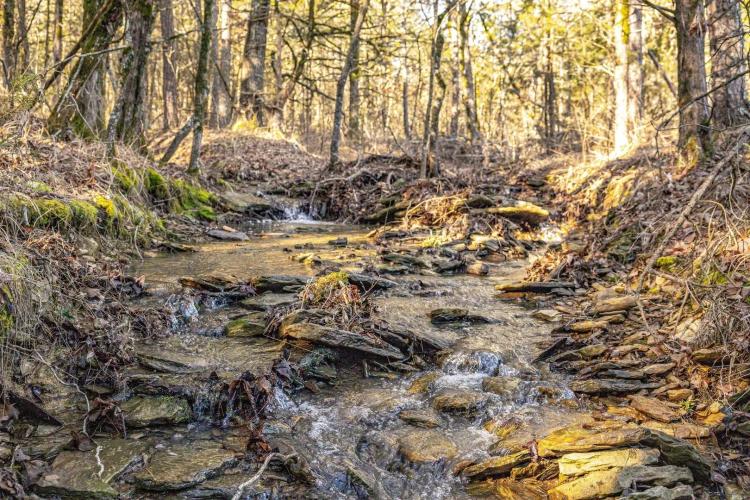 Ozark Mountain Retreat with Camp, Timber, Creek and Hunting