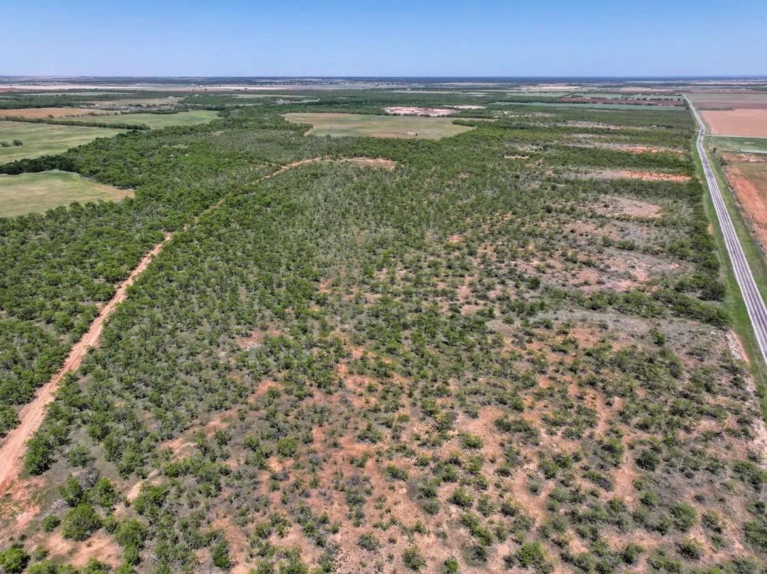 10.01+/- Acres, TBD FM 1812, Hawley (Tract 14)