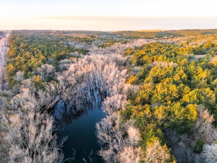 East Oakwood Hunting Ranch