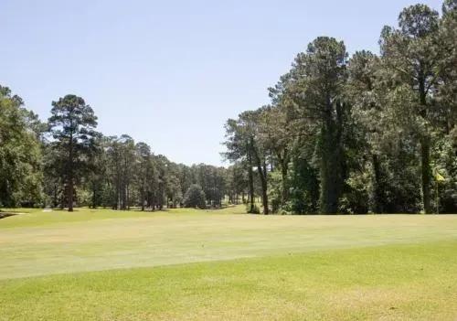 Texas, Jasper County, 0.48 Acre