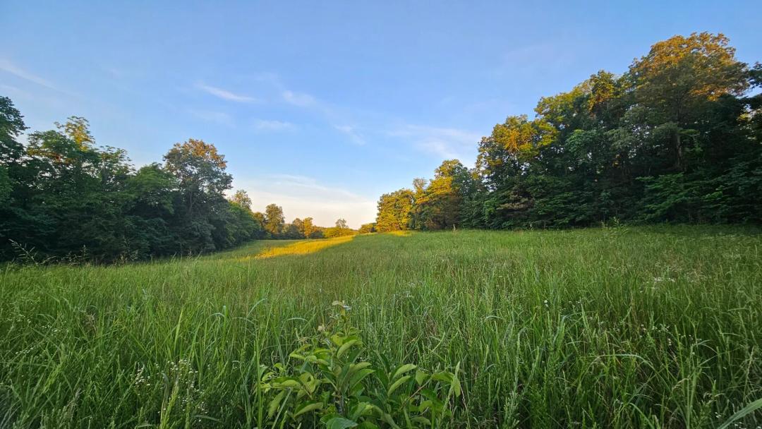 40.00 Acres at 004 Tomahawk Slab Road