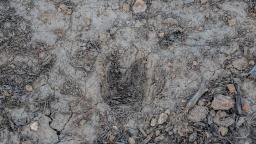 38238719-32