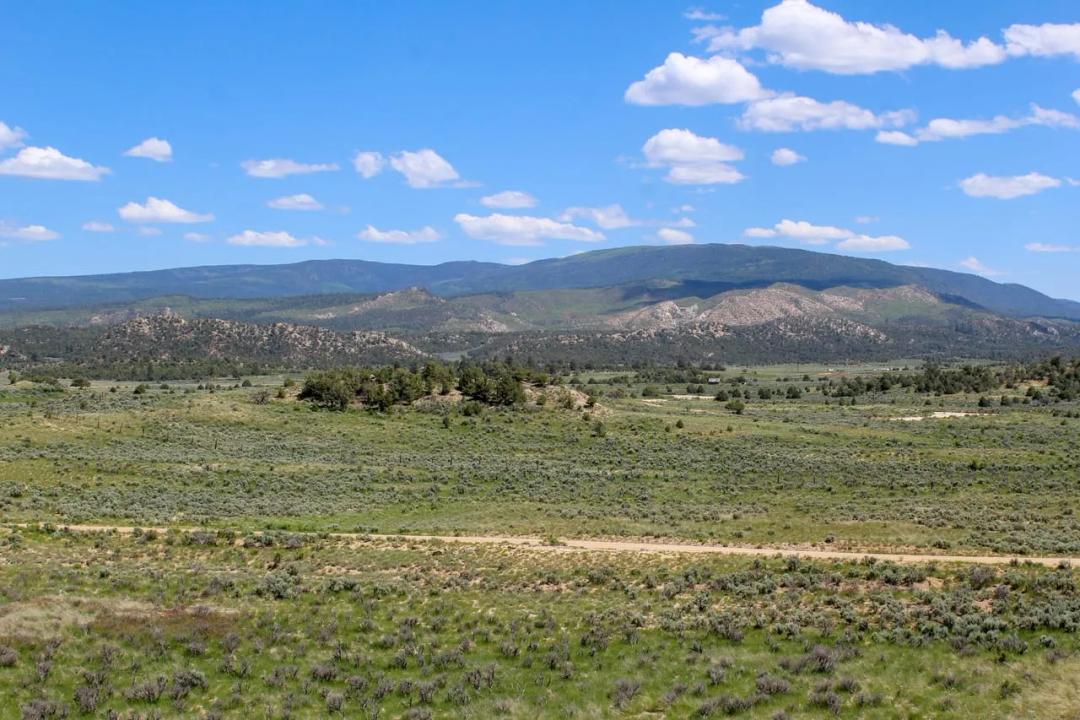 RA391 GMU 5A - 213 acres