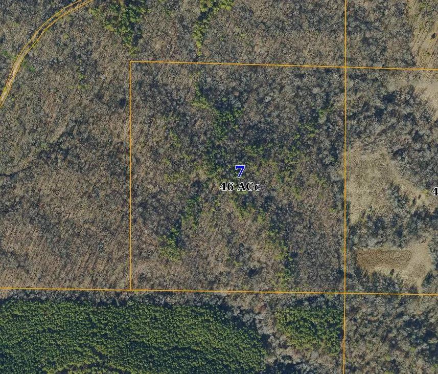 46.00 Acres at 46 Acres Hwy 8