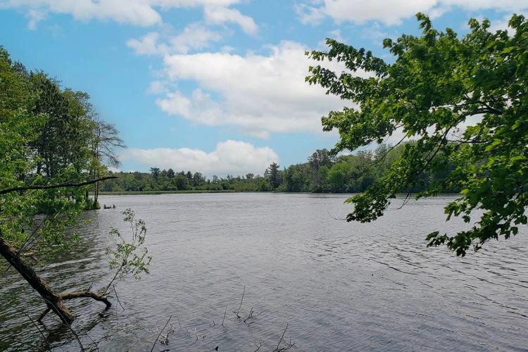 Lakefront Retreat with 164' of Shoreline on Angelo Pond