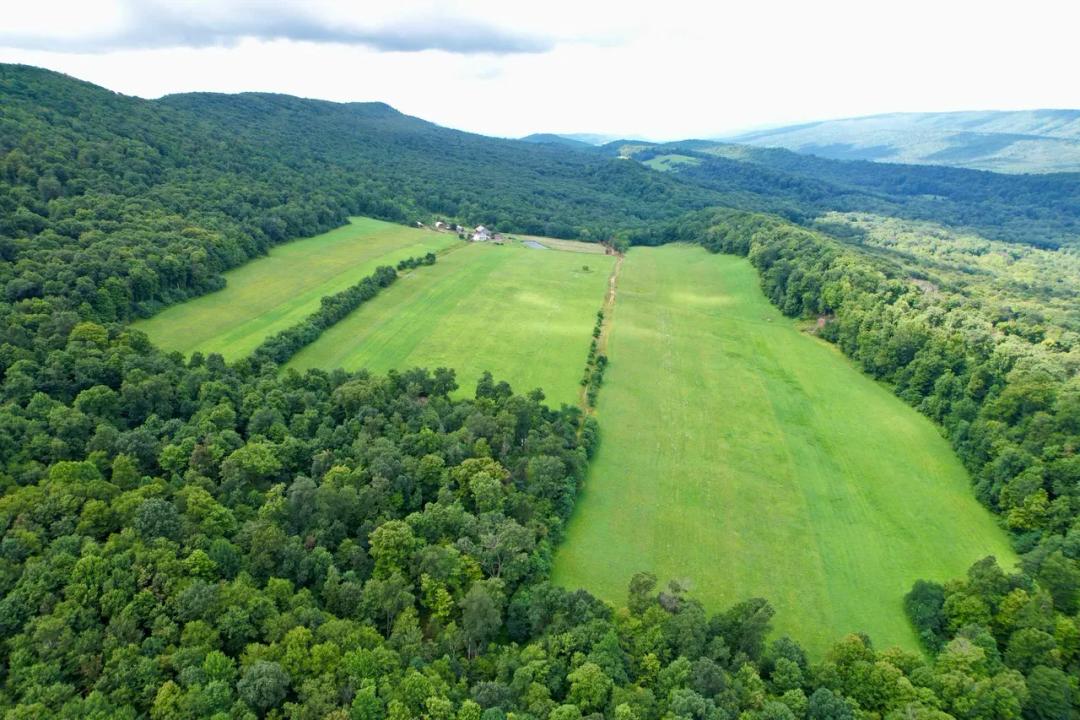 BEDFORD COUNTY - 385 HOWSARE LANE - 456 ± ACRES