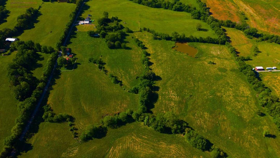 63 Acres +/- Excellent Access - Perfect for Farm & Home