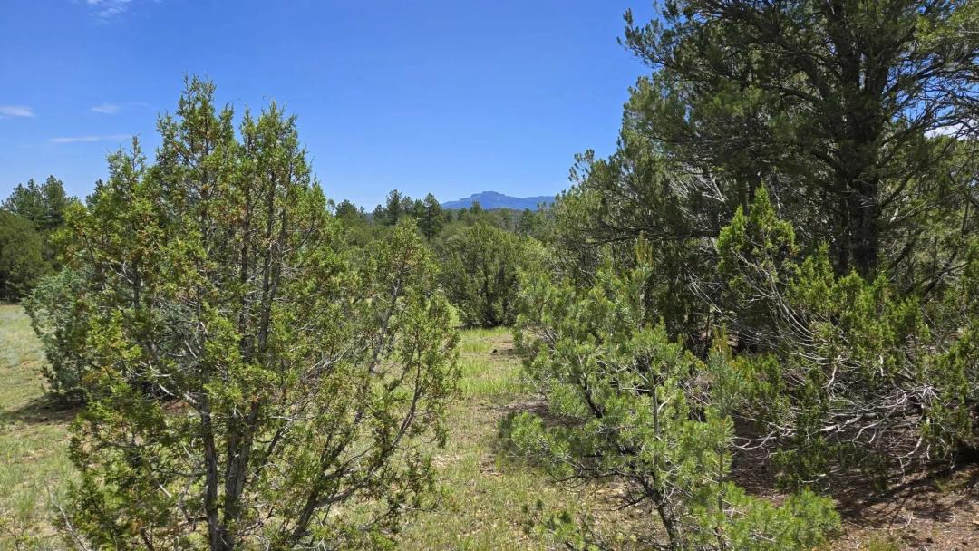20 Colorado Mountain Lake Est., Trinidad, CO 81082