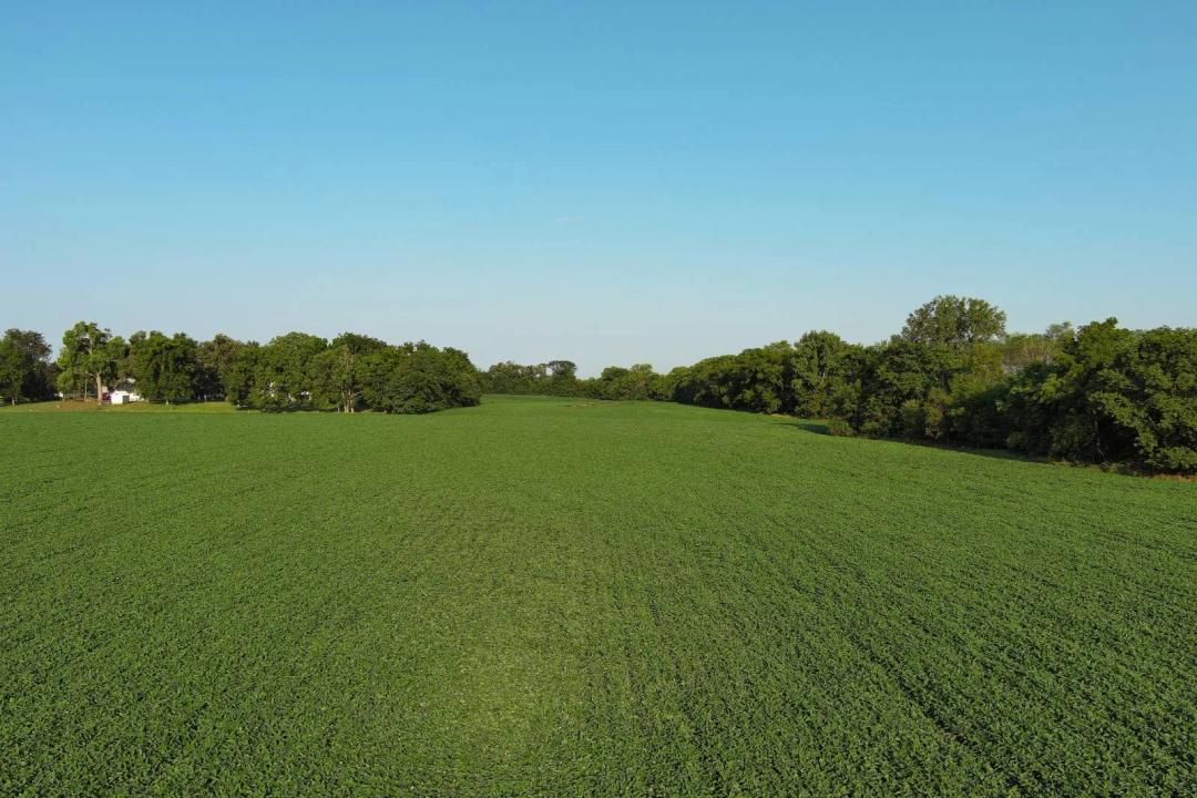 Joslin 53.60 Acres