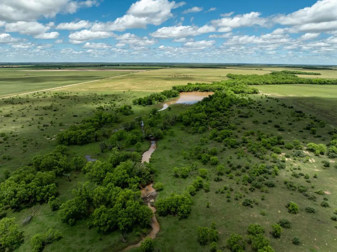 Freeman Pasture