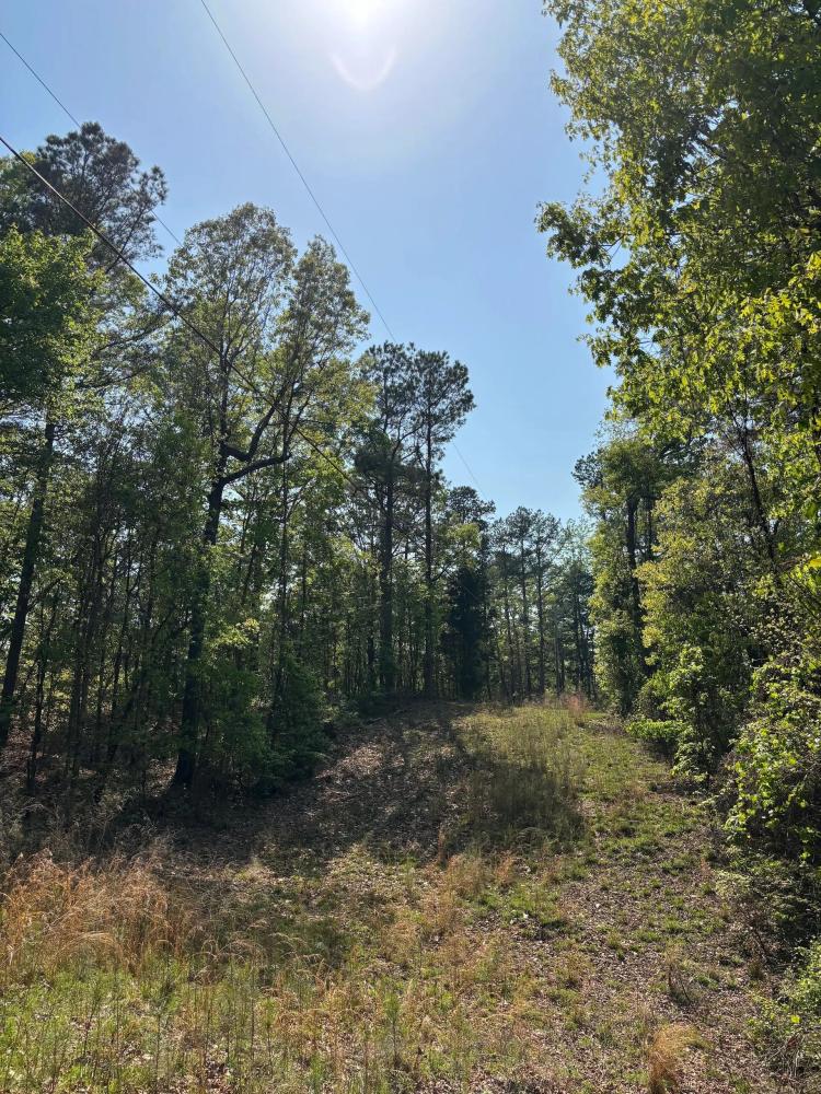 5.4 Acres in Lafayette County, MS 