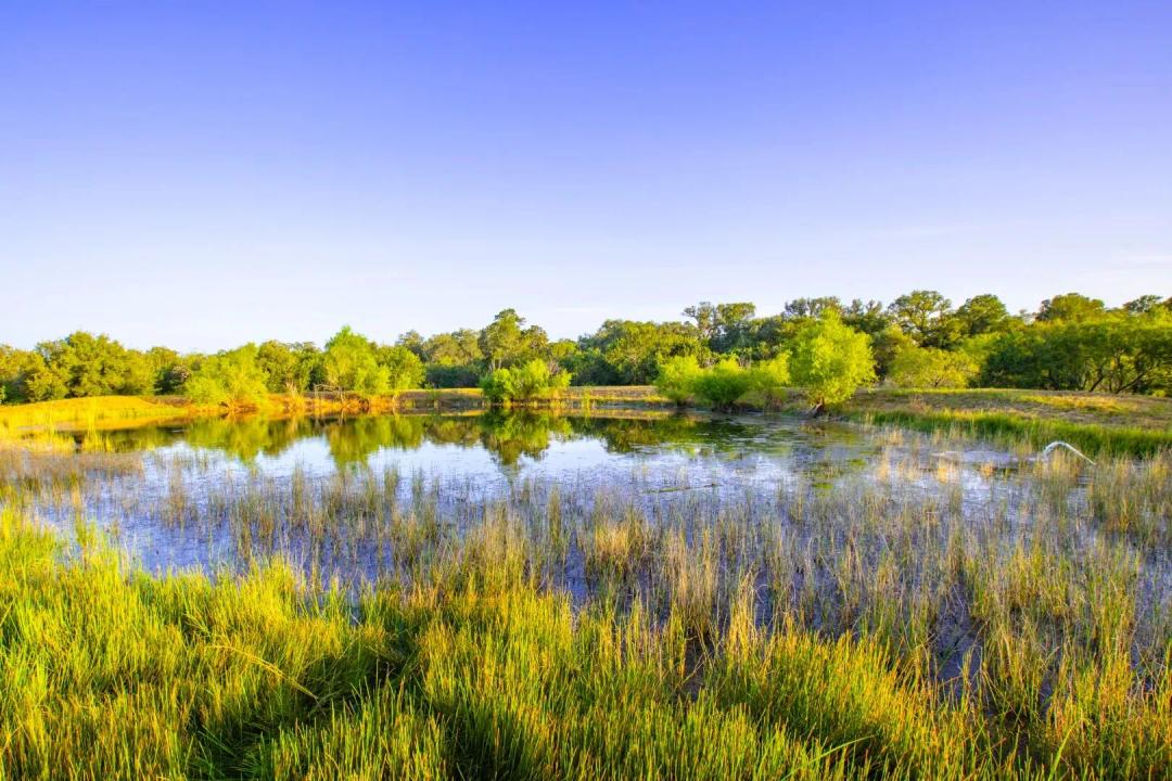 Lucky Creek Ranch