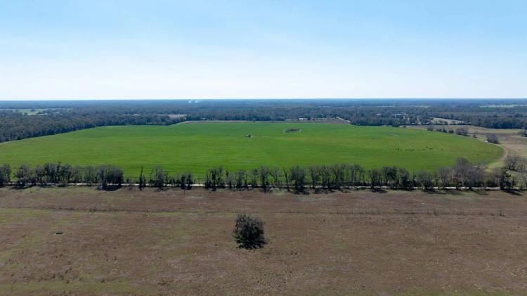 Online Auction | 18 Tracts Levy County, FL