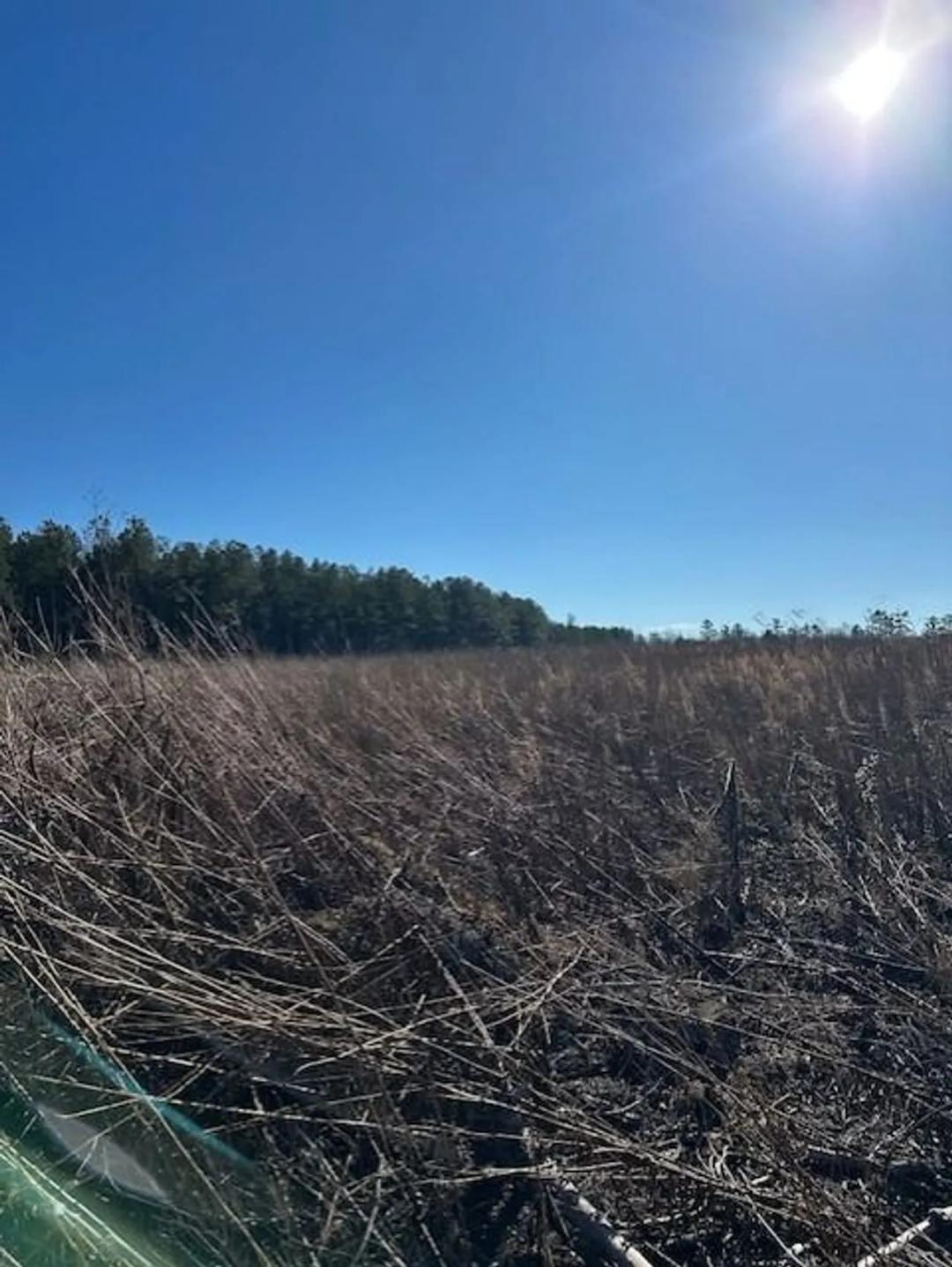 5.26+/-scenic acres in Grundy County, Tennessee