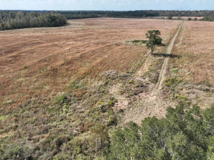 45.16 Acres at 0 First St