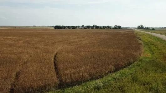 164.36 Ac Wells Co. Crop &amp; Pasture Land