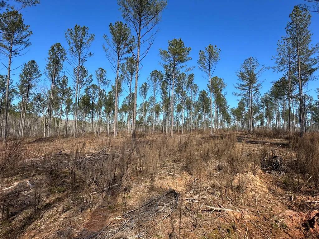 226 acre River property with development potential