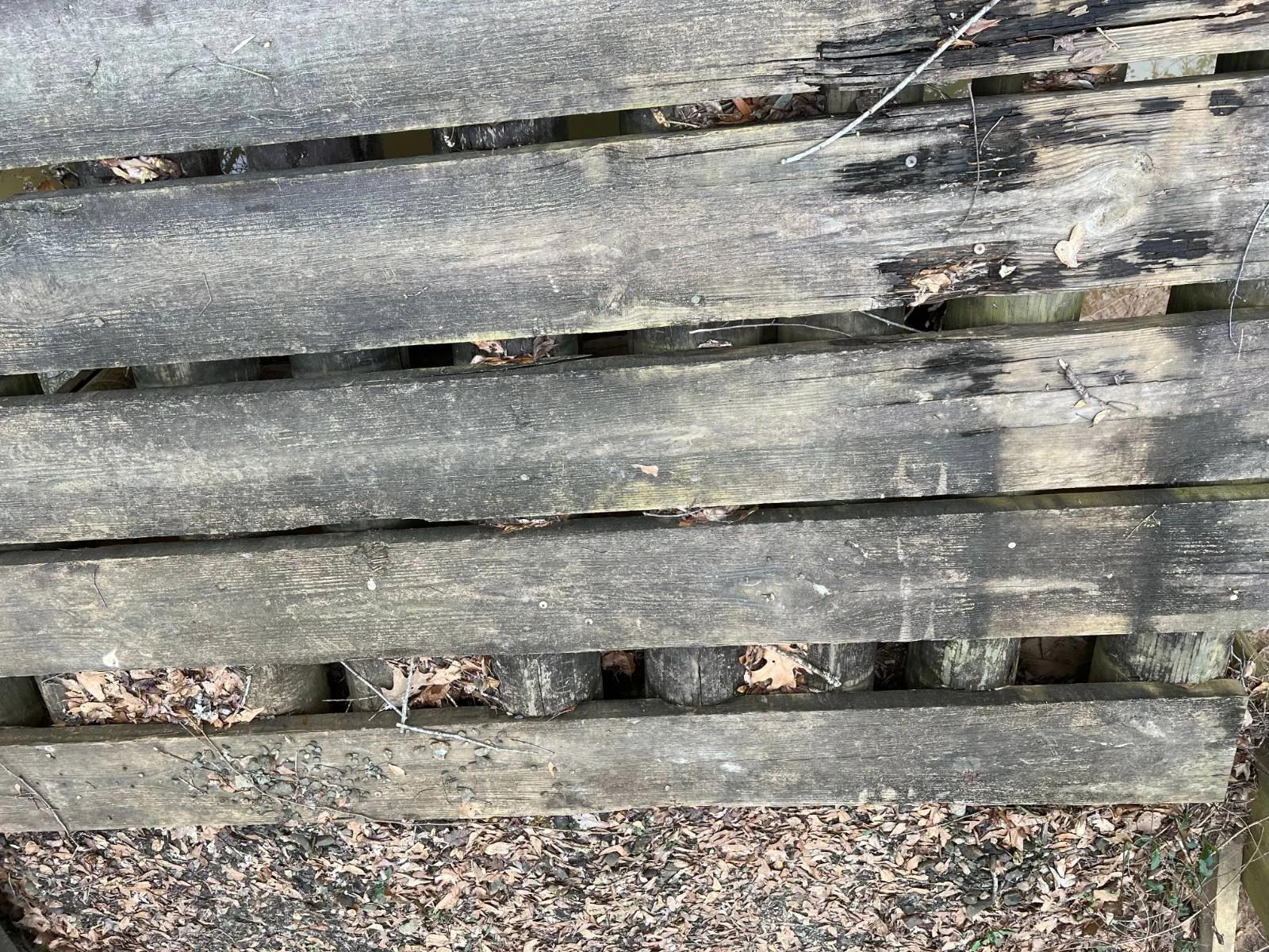 38485901-2
