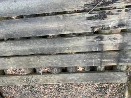 38485901-4
