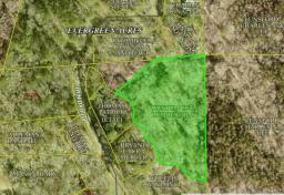 38485901-6