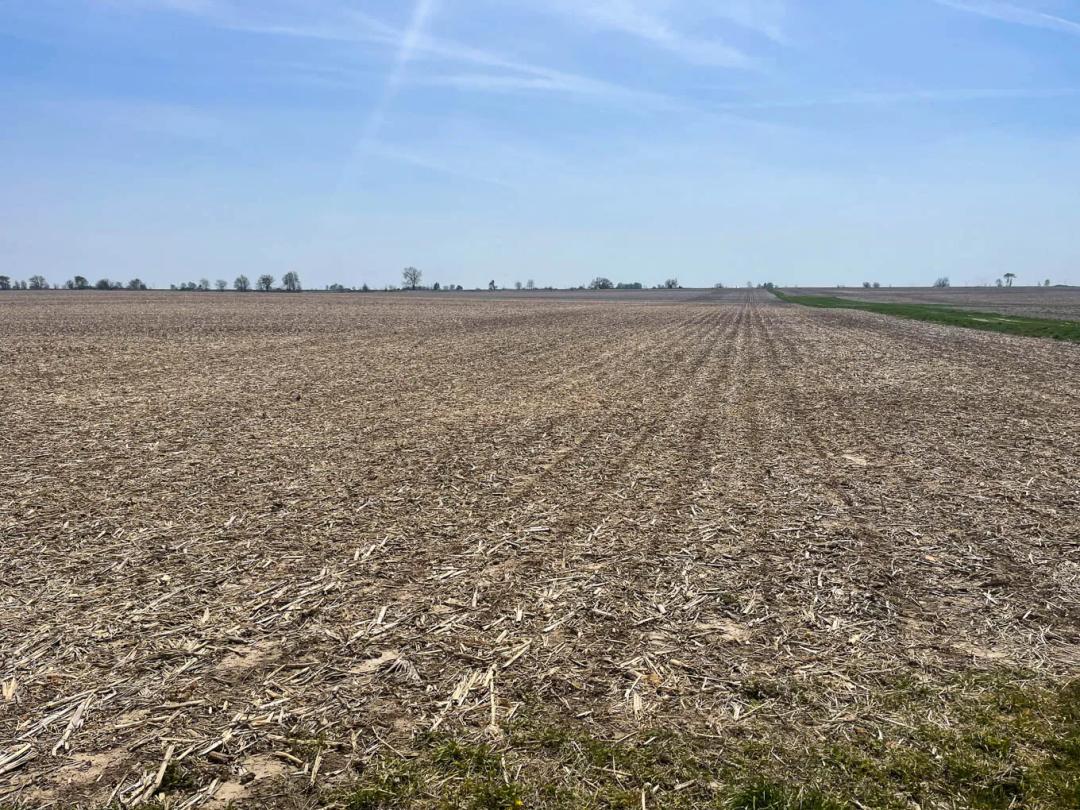 Logan County, Illinois 100 Acres For Sale