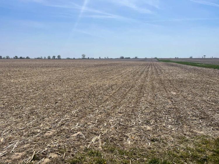 Logan County, Illinois 100 Acres For Sale