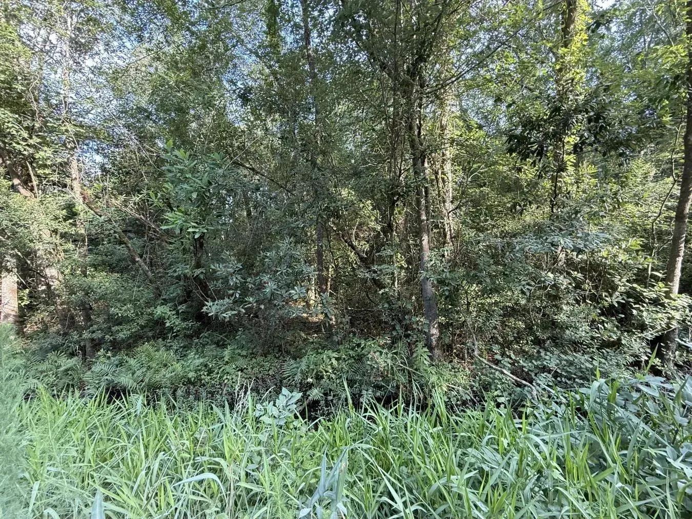 3852927-2