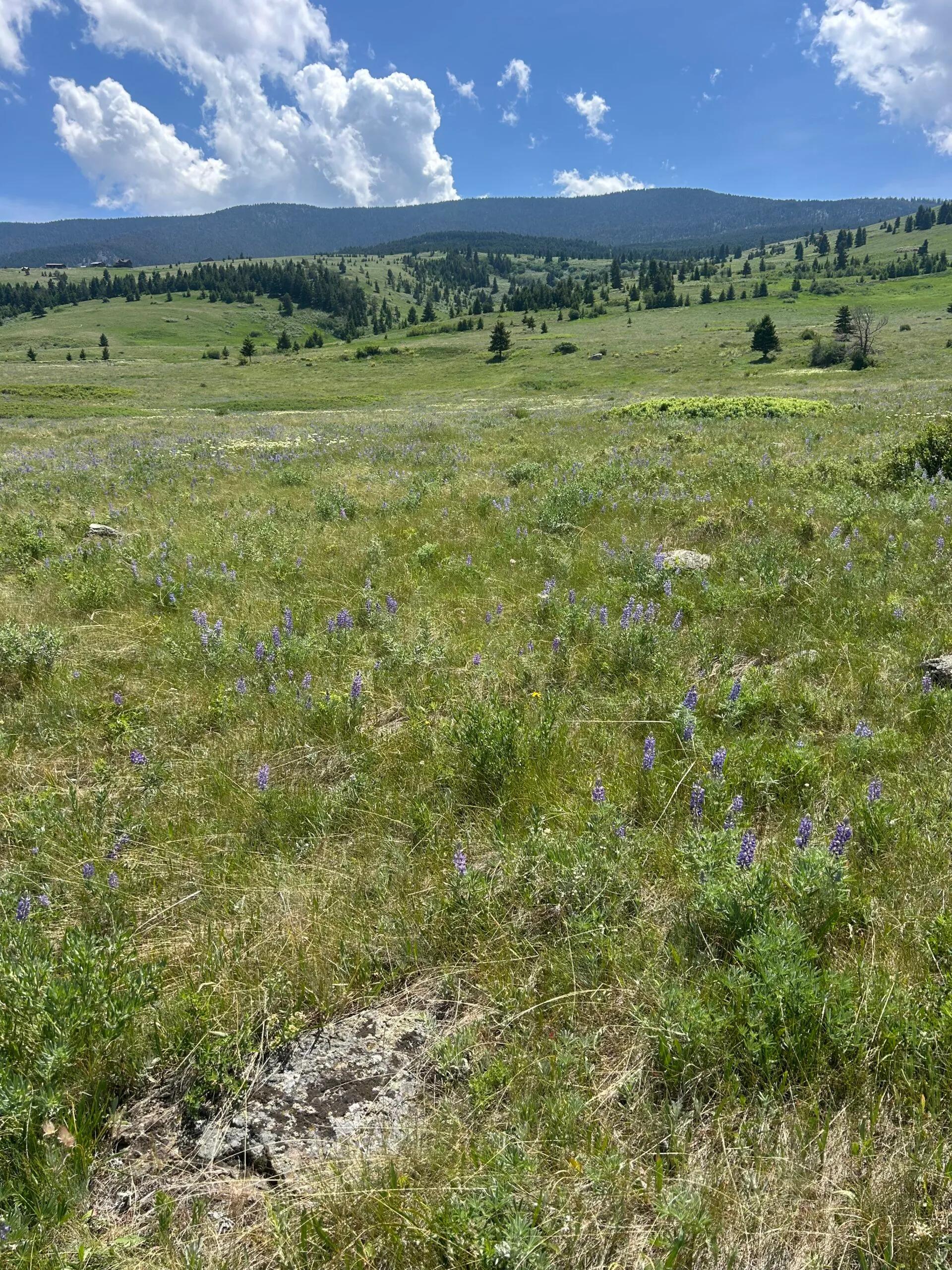 38551792-46