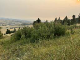 38551792-70