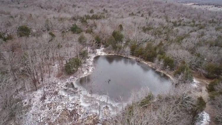 40 Acres of Prime Hunting &amp; Recreational Land in Seminole County