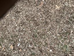 38557208-15