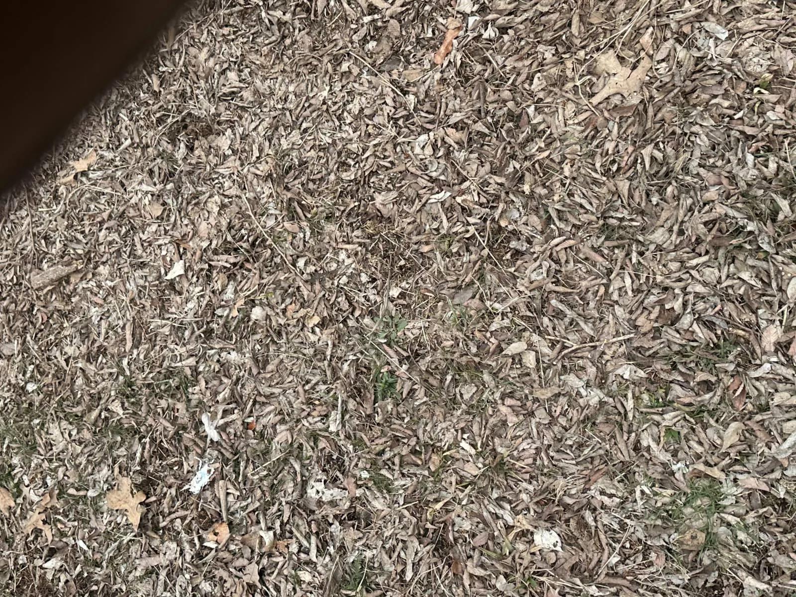 38557208-15