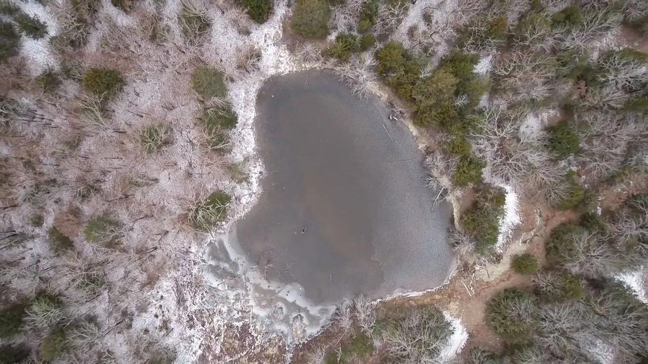 38557208-32