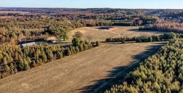 386 Acres in Carroll County in Greenwood, MS