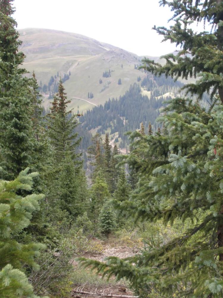 Historic Patented Mining Claim * San Juan Mountains Colorado