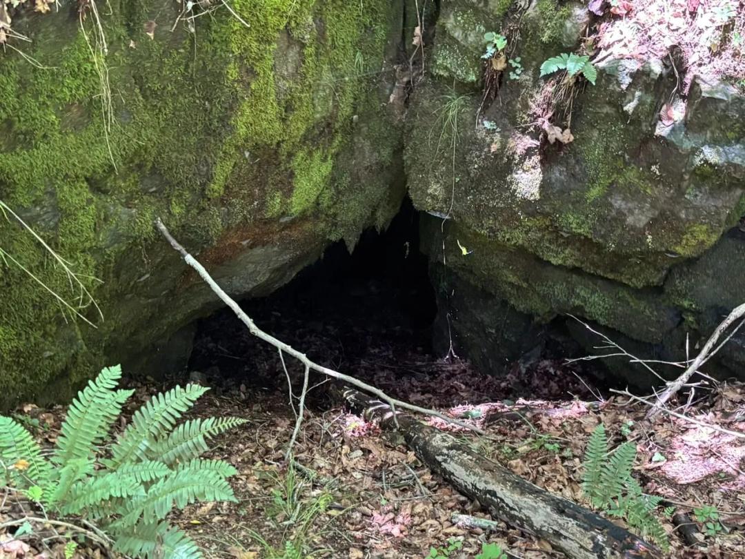 Blowing Springs Road 