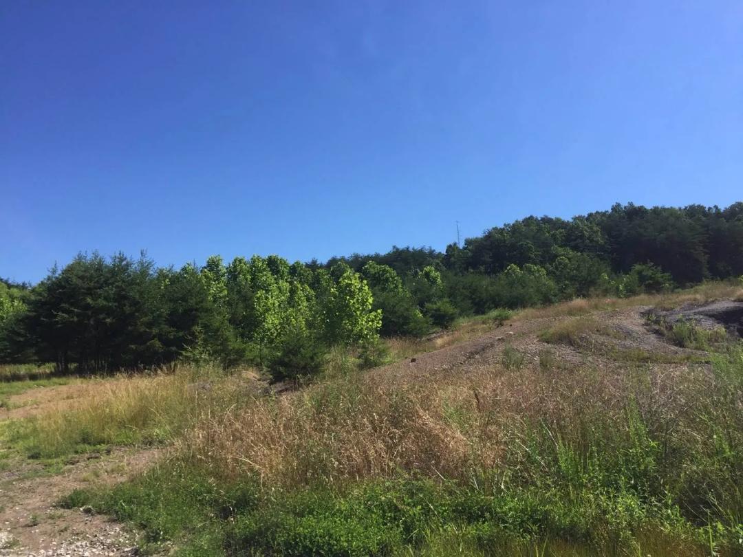 DEVELOPMENT POTENTIAL:75+/AC SANDY HOOK-ELLIOTT CO KY $199,900