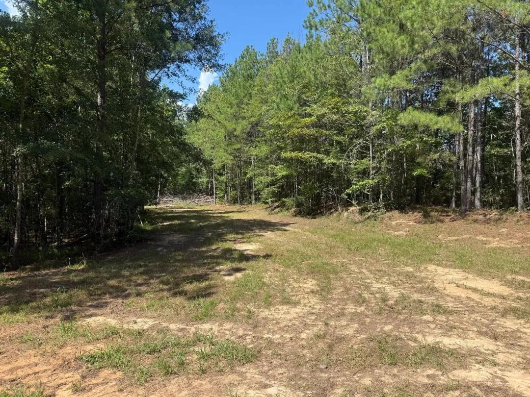 38 +/- ac on Hwy 231