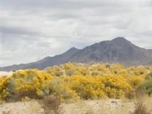 Nevada, Humboldt County, 80 Acres