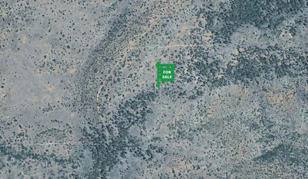 La Jara Springs East side of Manzano Mountains - Mountain land 20+ acres