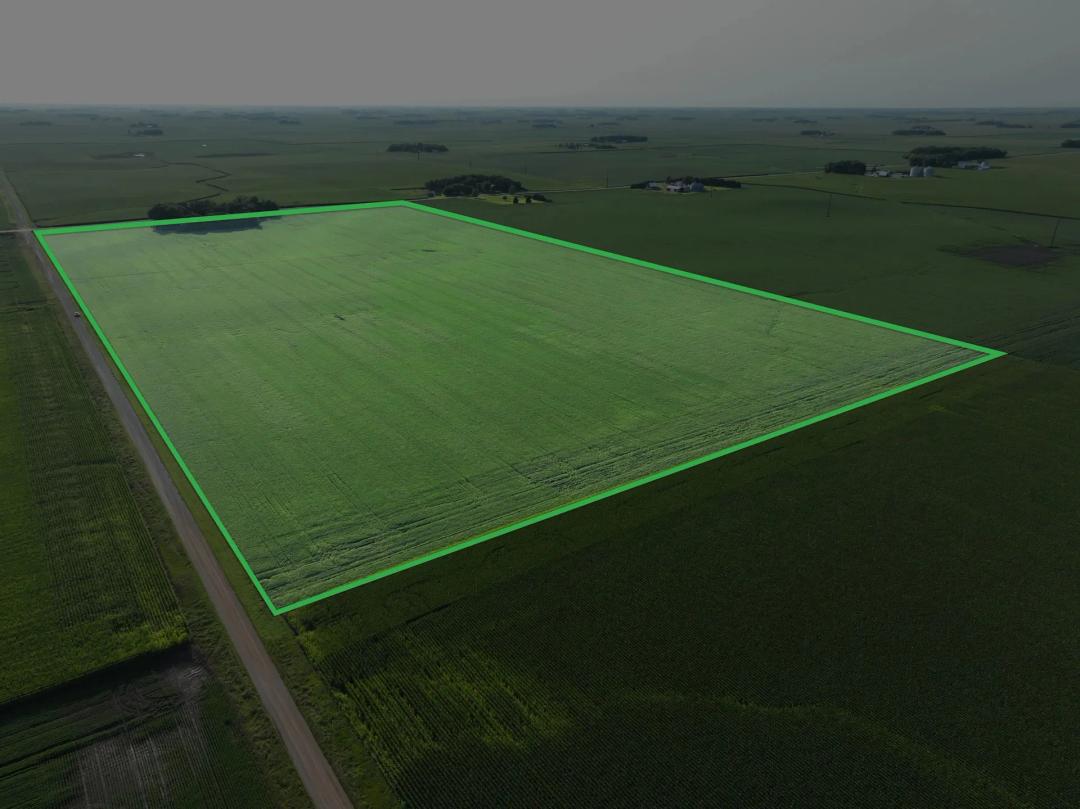 79.53 acre Farmland Auction - Faribault County