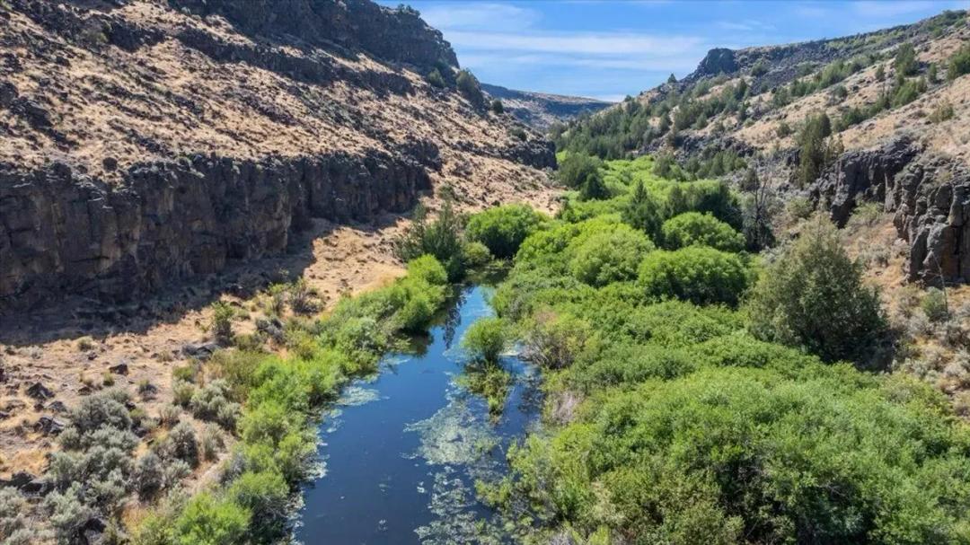 East Fork Bruneau