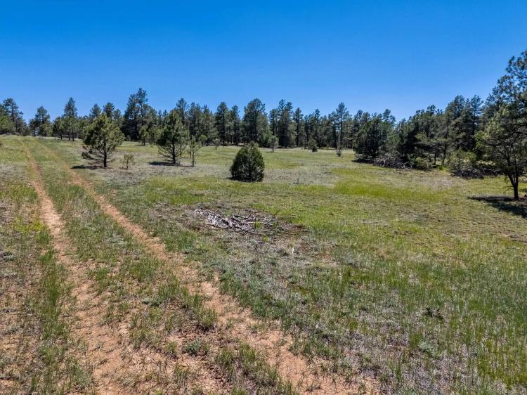 13583 Meadow Lark Drive 7/205, Weston, CO 81091