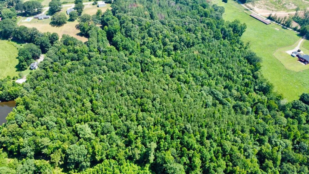 14 +/- Acres in Ranburne Town Limits