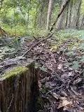 16 Acres in Johnson County, GA 